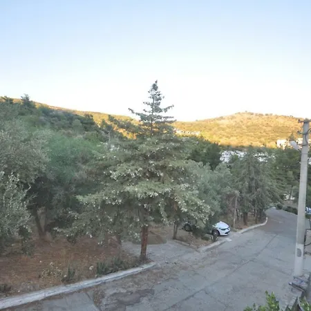 Olive Tree בית נופש בודרום